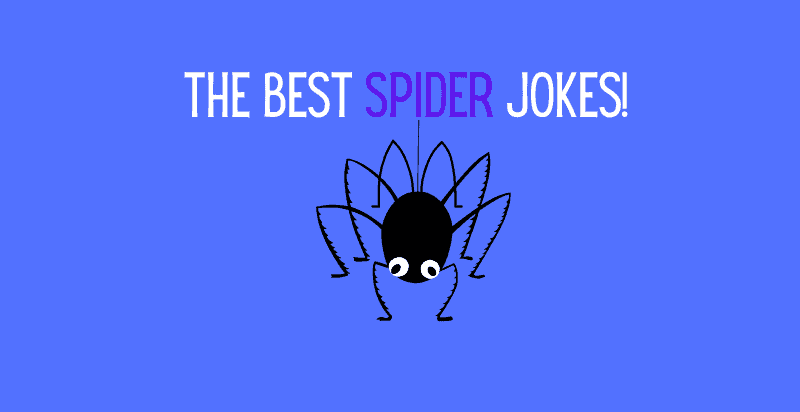 Spider Jokes