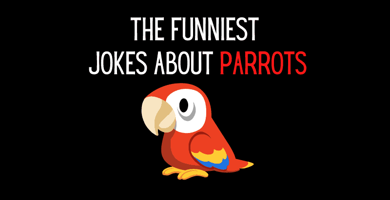 Parrot Jokes