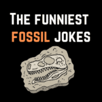 Funniest Fossil Jokes