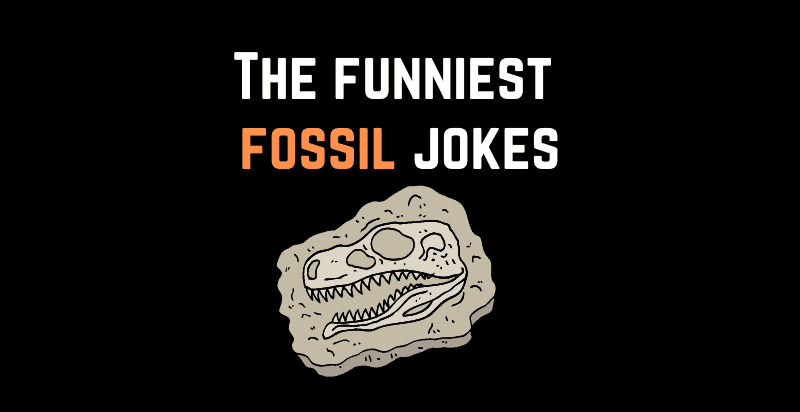 Funniest Fossil Jokes
