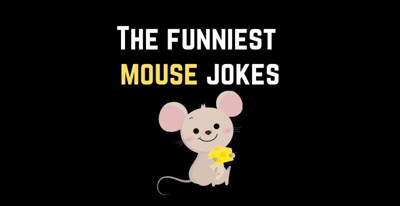 Funny Mouse Jokes